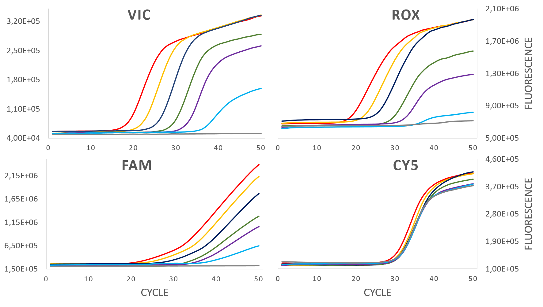 Multiplex PCR detection of various amounts. Tetraplex fashion. ROX, Cy5, FAM and VIC channel