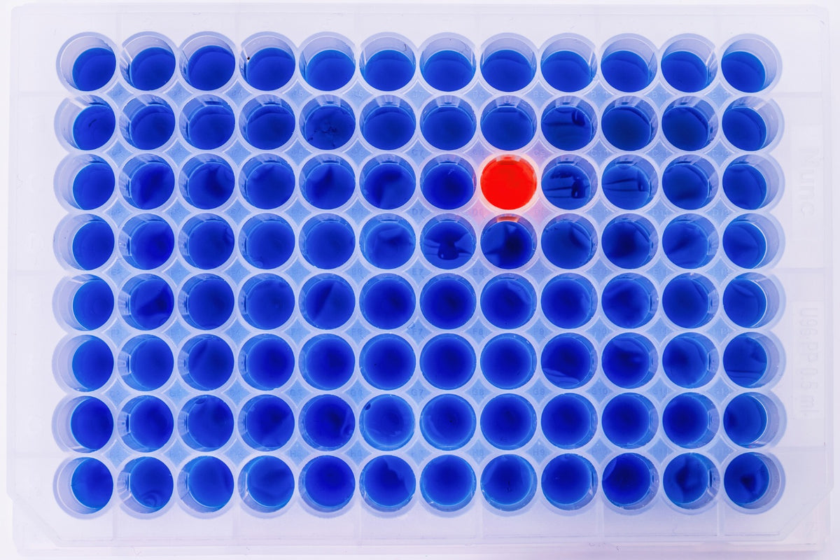 myPOLS Biotec - We shape DNA polymerases for your needs